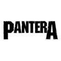 Pantera vêtement bébé rock